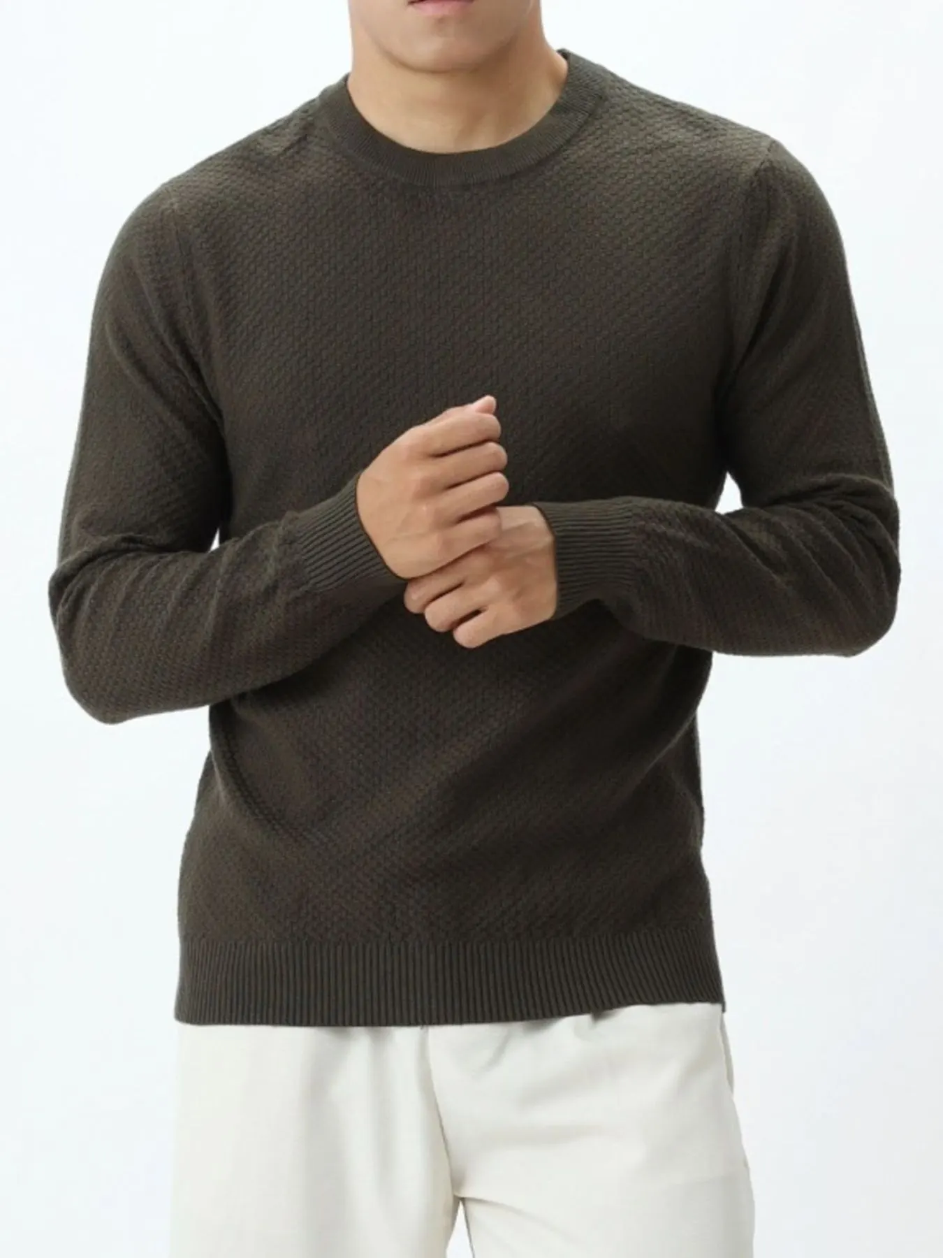 Men's Plus Size Textured Crew Neck Sweater